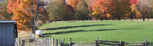 fallfoliage-photo3