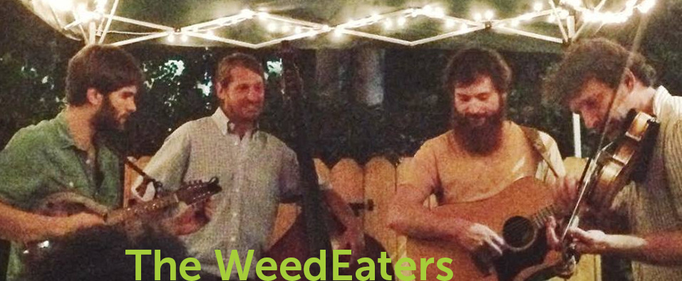 The WeedEaters string band The WeedEaters String Band